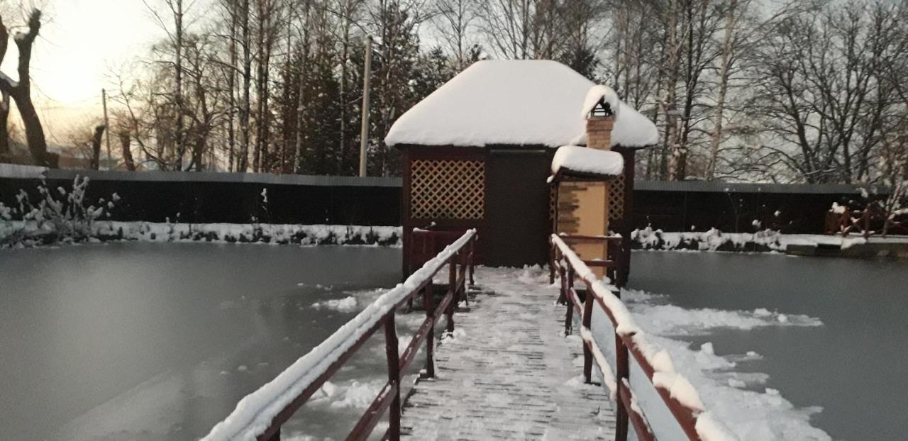 Villa На Ставку à Vyjnytsia Extérieur photo